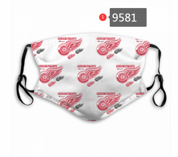 New 2020 NHL Detroit Red Wings #3 Dust mask with filter